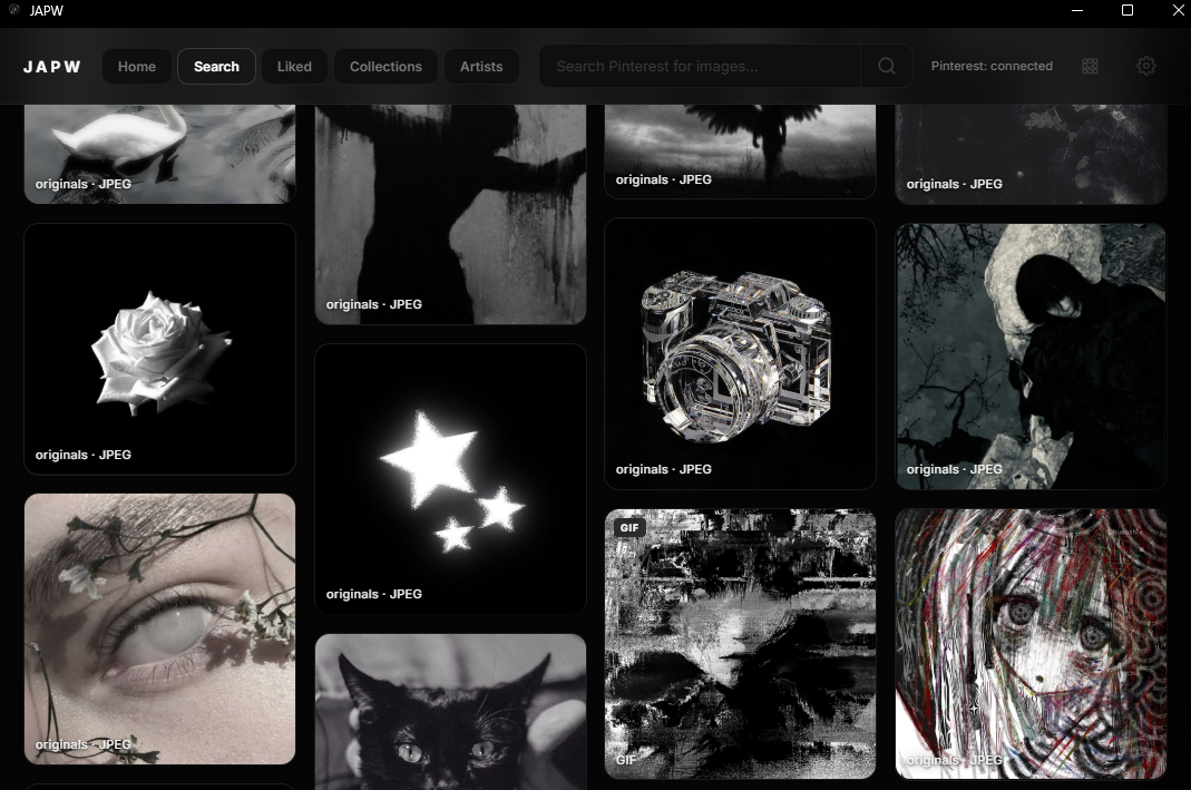 JAPW desktop app screenshot